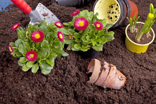 Illustration of website cookies for a landscaping service in Surbiton