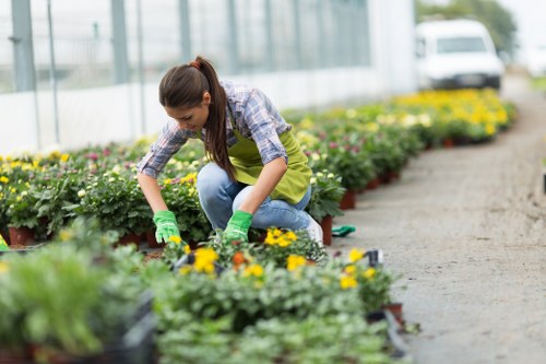 Planting services tailored to Surbiton gardens and property entrances