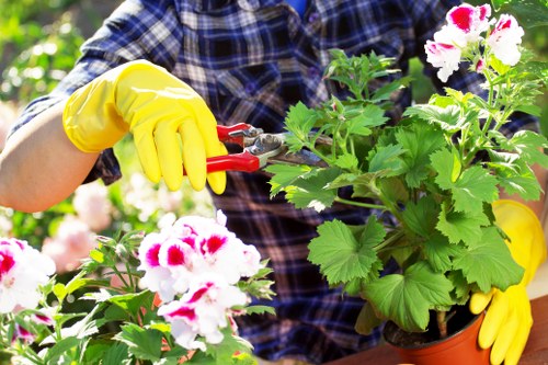 Garden redesign and planting in a Surbiton residential property