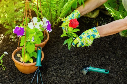 Site assessment for garden maintenance and debris control