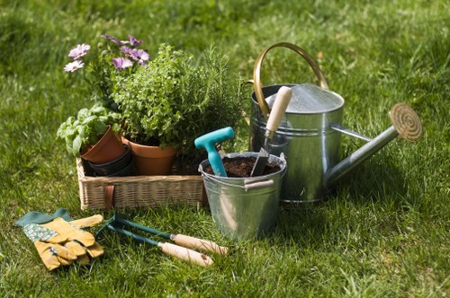 Surbiton hedge cutting for front gardens and narrow access areas