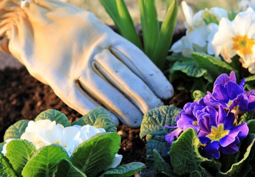 Practical garden renovation features for a Surbiton property
