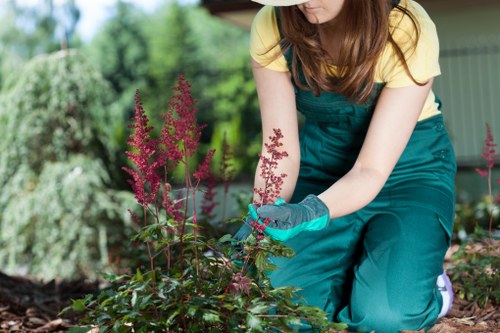 Professional planting preparation and layout for a local garden bed