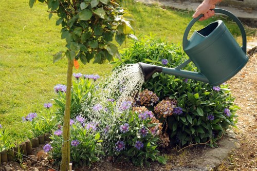 Surbiton landscapers planning a tailored residential garden