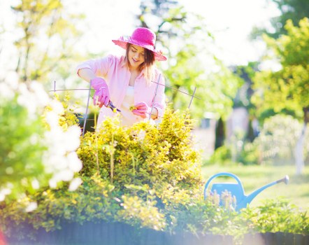 Inspecting a garden service concern as part of a complaint review