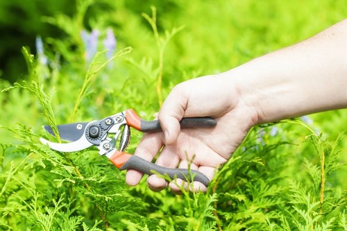 Local shed installer working in a typical Surbiton property garden