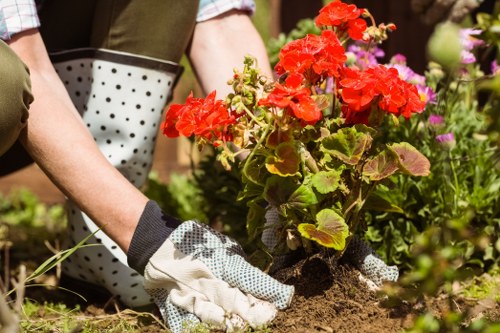 Reusable garden items prepared for charity donation
