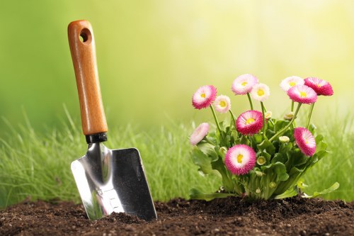 Professional landscape gardening work for a Surbiton property